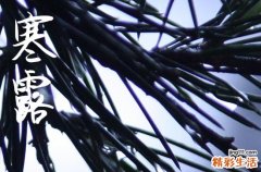 2024年寒露是什么时候 2024年寒露办丧事可以吗