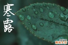 寒露是2024的几月几日 2024年寒露适合装修动工吗