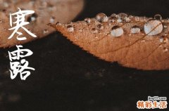 2024年寒露是什么时候 2024年寒露能定亲吗