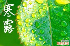 2024年寒露几月几日 2024寒露当天可以开光吗