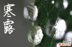 2024年寒露时间是什么时候 2024年寒露作灶可以吗