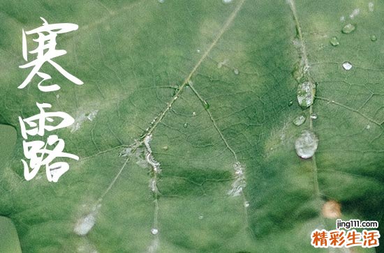 2024年寒露是具体哪一天 2024寒露那天安门好不好