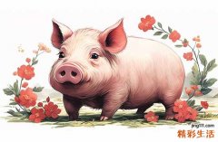 2025属猪习艺最好吉日 2025生肖猪习艺黄道吉日