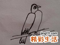 2怎么画小鸟 你学会了吗