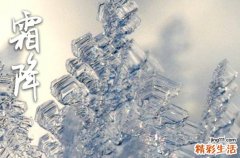 又是一年霜降时的霜降节 广西霜降节在每年什么时候