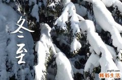 2024年冬至是冬天开始还是结束 冬至简介