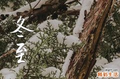 2024年南方人冬至吃什么 甜食比较多