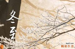 204年冬至吃什么食物?