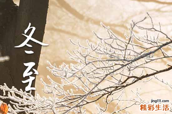204年冬至吃什么食物?