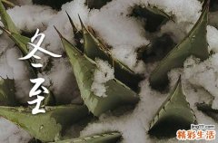 今年的冬至是几月几号2024 冬至节气习俗