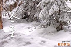 今年什么时候冬至2024 冬至简介