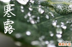 2024年寒露是什么时候 2024年寒露下葬吉祥吗