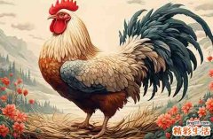2024年属鸡塑绘最好的吉日 2024年属鸡最佳的塑绘日子