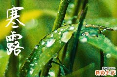 2024年寒露是几点几分几秒 2024年寒露弄祈福可以吗