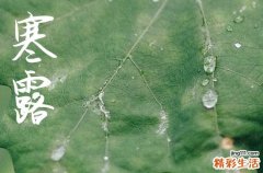 2024年寒露是几月几日 2024年寒露拆房可以吗
