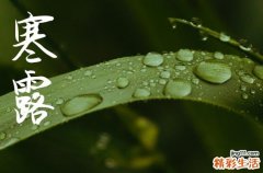 2024年寒露是多少号 2024寒露那天装修开工好不好