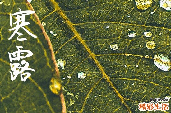 寒露是2024的几月几日 2024年寒露适合入宅吗
