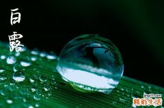 白露三候是什么意思 白露传统习俗是什么