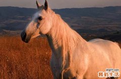 2025年属马最佳的裁衣日子 2025整年属马裁衣最佳吉日