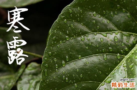2024年寒露农历时间 2024年寒露弄作灶可以吗