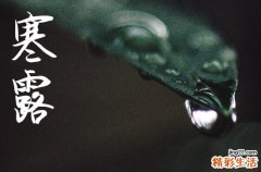 寒露是几月几号2024年 2024年寒露定亲行不行