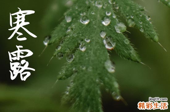 2024年寒露农历时间 2024年寒露可以入宅吗