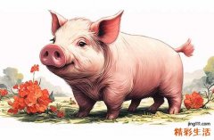 2025属猪纳婿最好吉日 2025年生肖猪最佳纳婿吉日一览