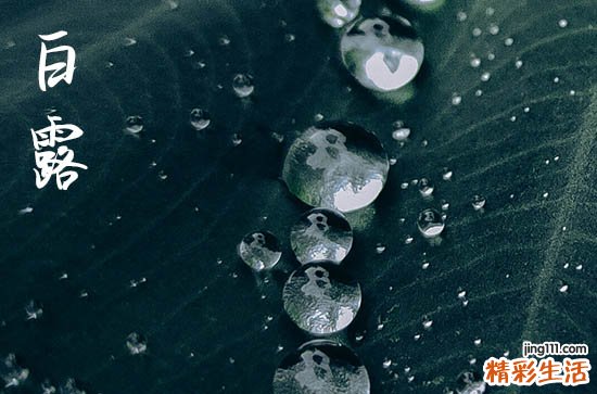 白露是什么季节 2024年白露下雨预示着什么