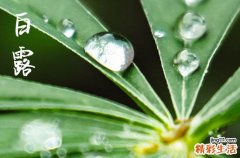 白露下雨有什么寓意 白露的养生原则