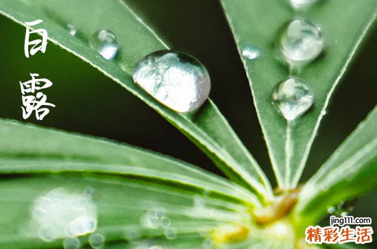 白露下雨有什么寓意 白露的养生原则
