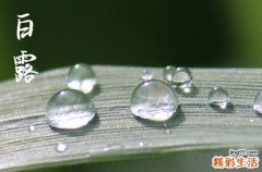 白露的气候特征是什么 白露为什么要吃鸡