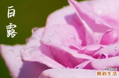 白露节气吃什么传统食物? 白露节气的具体时间