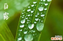 白露的三候有哪些 白露的农谚有哪些