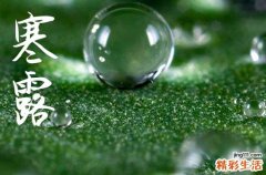 2024寒露是农历哪一天 2024年寒露提亲好不好
