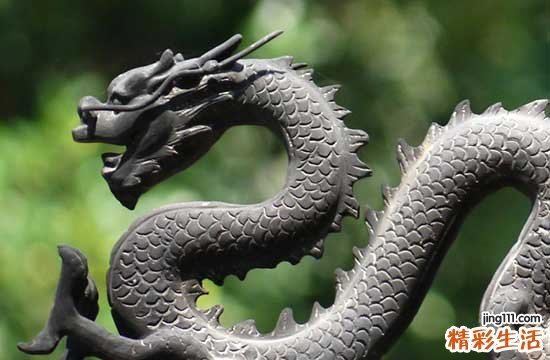 2024年属龙训狗吉日一览表 2024年属龙最佳训狗日子一览