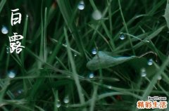 2024年啥时候白露 白露的养生和注意事项