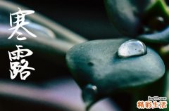 2024年寒露是什么时候时间 2024寒露当天可以搬家吗