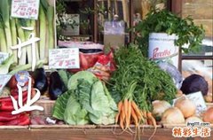 农历七月属狗店铺开张黄道吉日查询 2024农历七月属狗店铺开张吉日