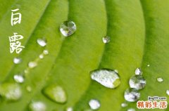 白露是几月几日2024年 白露节气的古诗