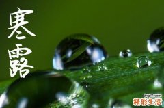 2024寒露是农历哪一天 2024年寒露提亲可以吗