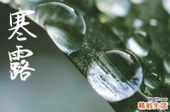 2024年寒露是什么时候时间 2024年寒露求财吉利吗
