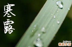 2024寒露是农历哪一天 2024年寒露安床行不行