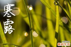 2024年寒露農(nóng)歷時(shí)間 2024年寒露出喪合適嗎