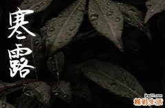 2024年寒露農(nóng)歷時間 2024年寒露適合下葬嗎