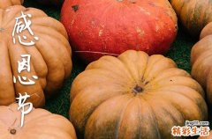 2024年感恩节是几月几日 感恩节的来历和风俗