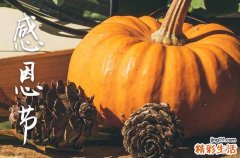 2024感恩节是几月几日