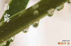 白露是几月几号2024年 2024年白露是上官的好日子吗