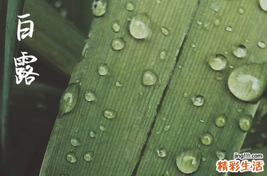 2024年白露是几月几日 2024年白露做寿吉祥吗