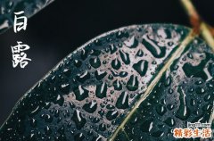 2024年今年白露是几月几号 2024白露那天入土好不好