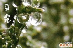2024年白露几月几日 2024年9月7日白露是入棺吉日吗